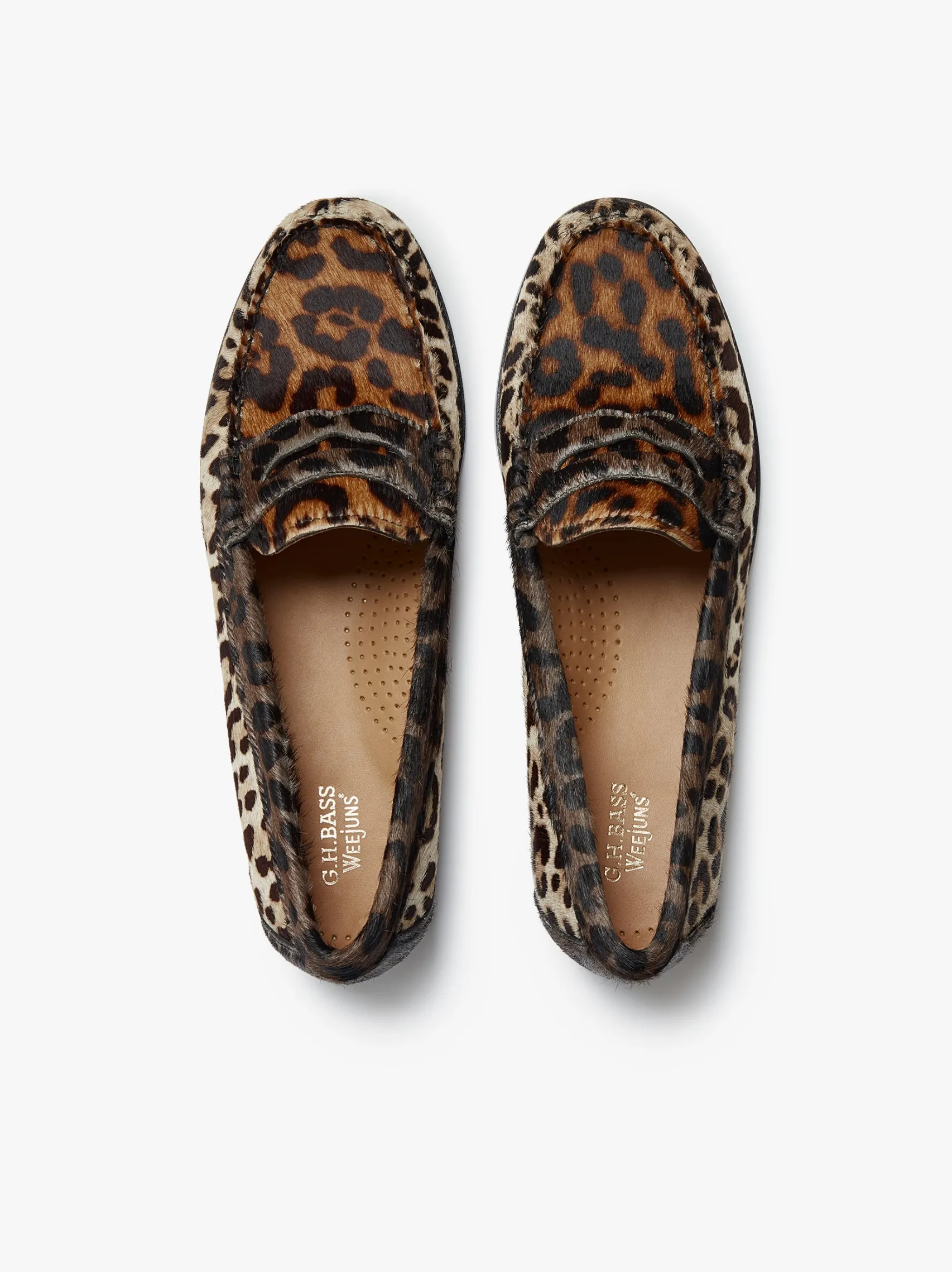 Women G.H.BASS Whitney Leopard Penny Loafers Dark Tan Leather with Leopard Print